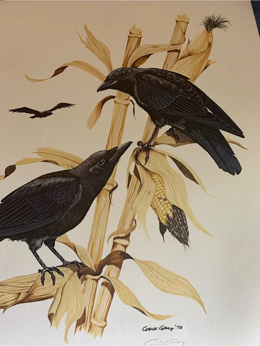 Vintage Gene Gray Limited Edition Print Black Crow Wall Art Print 1978 Nature